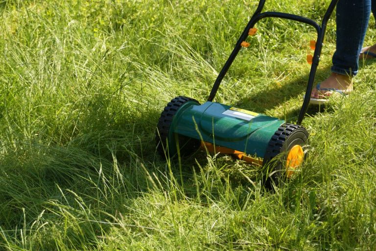 Mejores marcas de podadoras manuales de pasto - Guía de compra 2021